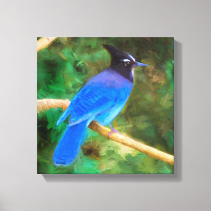 Steller's Jay Painting - Original Bird Art Leinwanddruck
