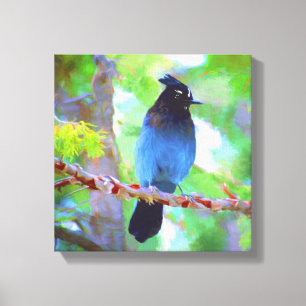 Steller's Jay Painting - Original Bird Art Leinwanddruck