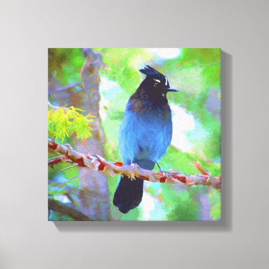 Steller's Jay Painting - Original Bird Art Leinwanddruck (Vorderseite)
