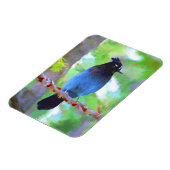 Steller's Jay Painting - Original Bird Art Magnet (Linke Seite)