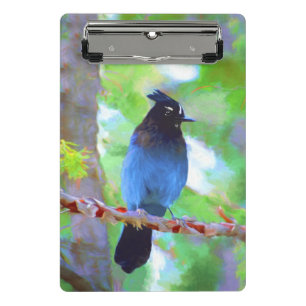 Steller's Jay Painting - Original Bird Art Mini Klemmbrett