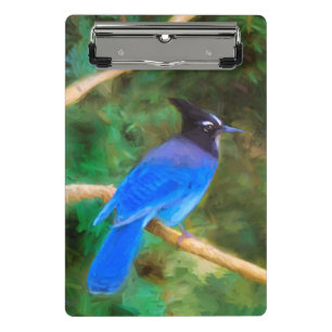 Steller's Jay Painting - Original Bird Art Mini Klemmbrett