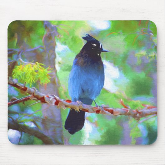 Steller's Jay Painting - Original Bird Art Mousepad (Vorne)