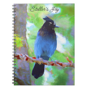 Steller's Jay Painting - Original Bird Art Notizblock