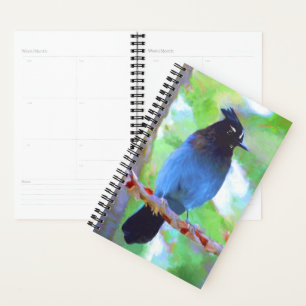 Steller's Jay Painting - Original Bird Art Planer
