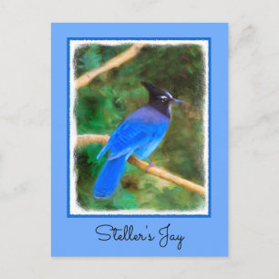 Steller's Jay Painting - Original Bird Art Postkarte