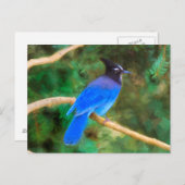 Steller's Jay Painting - Original Bird Art Postkarte (Vorne/Hinten)