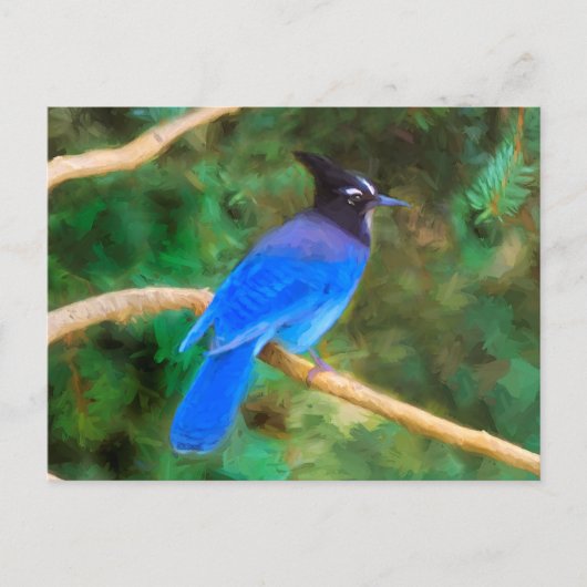 Steller's Jay Painting - Original Bird Art Postkarte (Vorderseite)