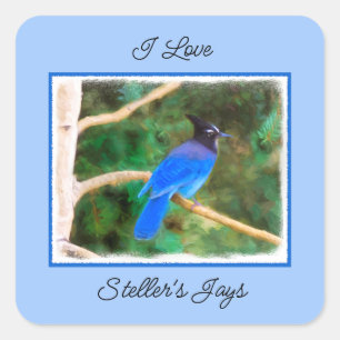 Steller's Jay Painting - Original Bird Art Quadratischer Aufkleber