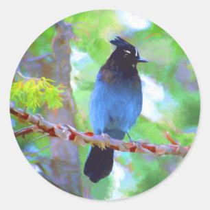 Steller's Jay Painting - Original Bird Art Runder Aufkleber