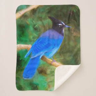 Steller's Jay Painting - Original Bird Art Sherpadecke