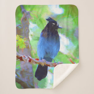 Steller's Jay Painting - Original Bird Art Sherpadecke