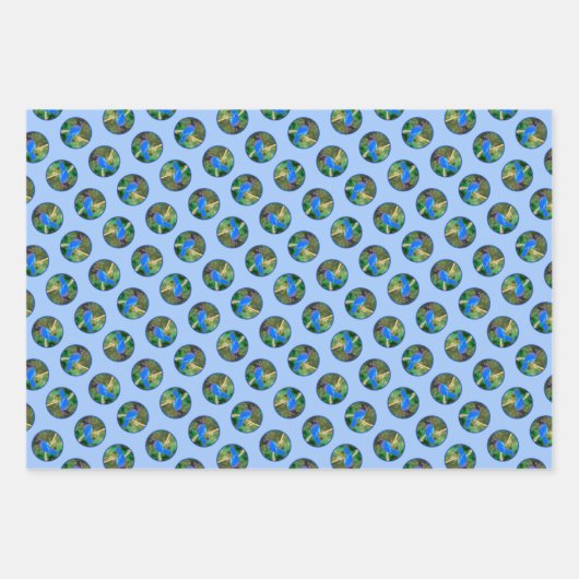 Steller's Jay Painting Original Wild Bird Art Geschenkpapier Set (Vorderseite)