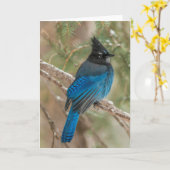 Stellers Jayvogel im Baum Karte (Gelbe Blume)