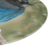 Stellers Jayvogel im Baum Schneidebrett (Ecke)