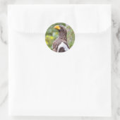 Stellerseeadler Runder Aufkleber (Tasche)