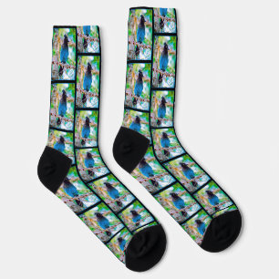 Stellershäher im Wald Originalfotografie Socken