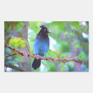 Stellershäher-Malerei - Originale Vogelkunst Rechteckiger Aufkleber