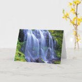 Stellvertreterfallen in Oregons zentralen Kaskaden Karte (Gelbe Blume)