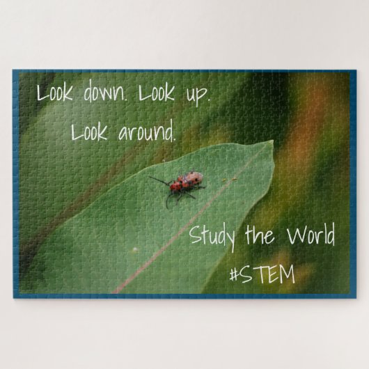 STEM-Insektennatur Puzzle (Horizontal)