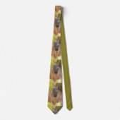 Stem Neck Tie Krawatte (Vorderseite)