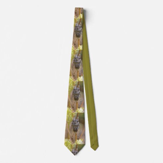 Stem Neck Tie Krawatte (Vorderseite)