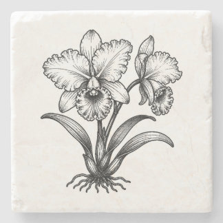 Stempel Cattleya Orchideen-Stiel Naturstein-Unterl Steinuntersetzer