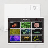 stempel postkarte (Vorne/Hinten)