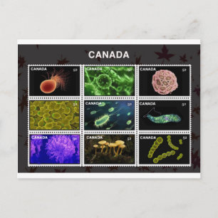 stempel postkarte