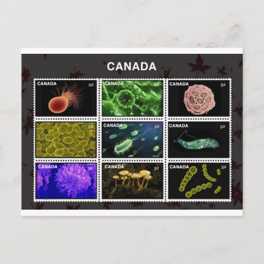 stempel postkarte (Vorderseite)