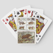 "Stempel" Spielkarten (Rückseite)