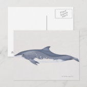 Steno Postkarte (Vorne/Hinten)