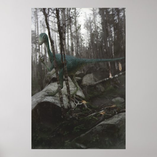 Stenonychosaurus Poster (Vorne)