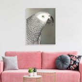 Stently African Gray Parrot Leinwanddruck (Insitu (Wohnzimmer))