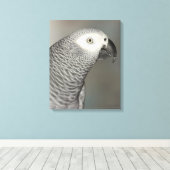 Stently African Gray Parrot Leinwanddruck (Insitu (Holzboden))