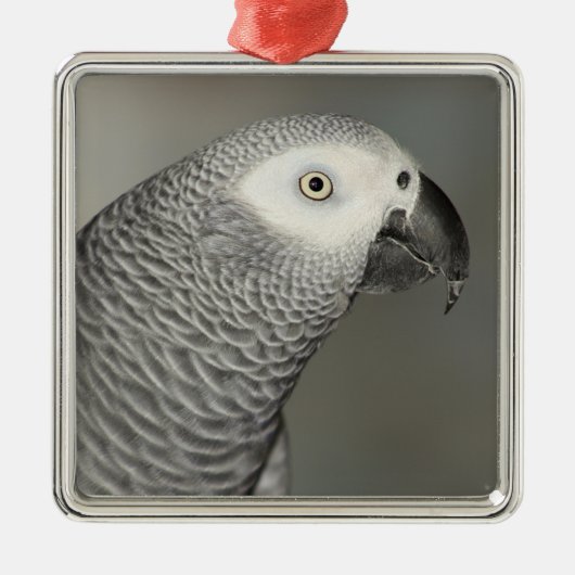 Stently African Gray Parrot Ornament Aus Metall (Vorne)