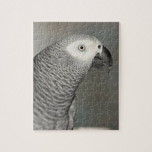 Stently African Gray Parrot Puzzle (Vertikal)