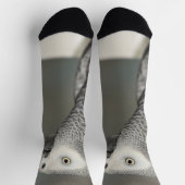 Stently African Gray Parrot Socken (Oben)