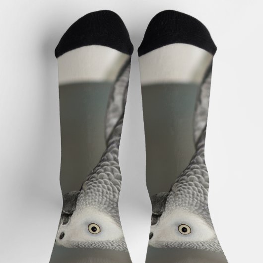 Stently African Gray Parrot Socken (Oben)