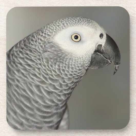 Stently African Gray Parrot Untersetzer (Vorderseite)