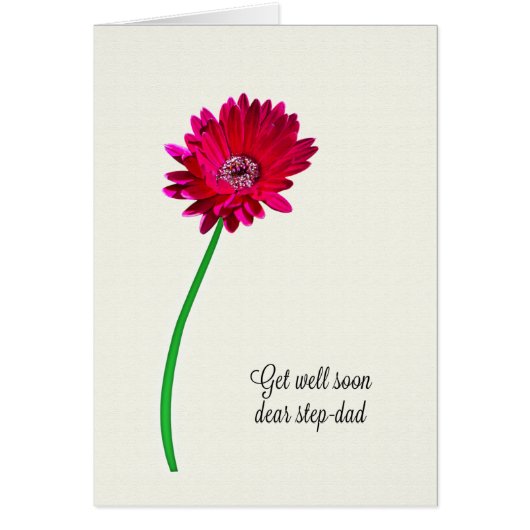 Steo-Vater wird bald gut gestrichen Blume (Vorne)