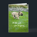 Step Brother, 50 th Birthday Puppy Running Karte<br><div class="desc">Dein Schrittbruder verdient ein Lächeln an seinem Geburtstag. Schick ihm diese niedliche und lustige Karte mit diesem Welpen,  der so schnell aus den Jahren läuft,  um ihn zu fangen. Dies ist ein perfekter Weg,  um Spaß mit Ihren herzlichen Wünschen an seinem 50. Geburtstag.</div>
