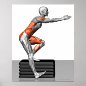 Step-Down-Übungen Poster (Vorne)