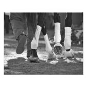 Step Nicely Fotodruck (Vorne)