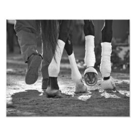 Step Nicely Fotodruck