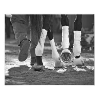 Step Nicely Fotodruck