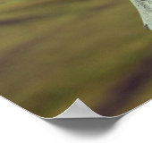 Stepantsminda Kazbegi Georgia Poster (Ecke)