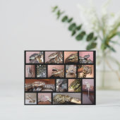 Steph Reptile Collage Black Postkarte (Stehend Vorderseite)
