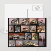 Steph Reptile Collage Black Postkarte (Vorne/Hinten)