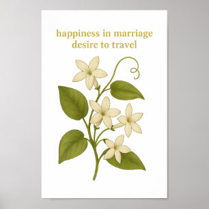 Stephanotis — Glück in der Ehe Poster